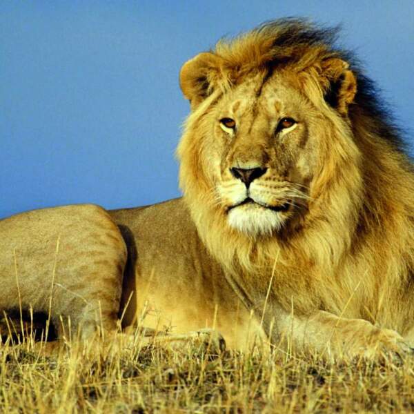 Experience Africa intensively: in small groups and with local expertise
